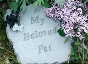 message-from-your-deceased-pet
